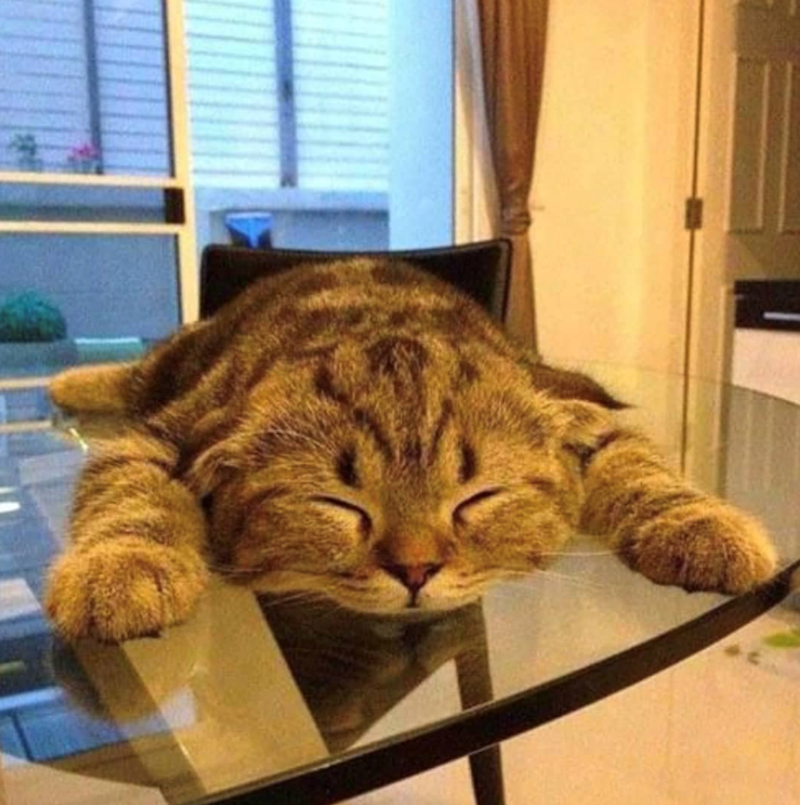 Figure 13: I'm tired of being online...